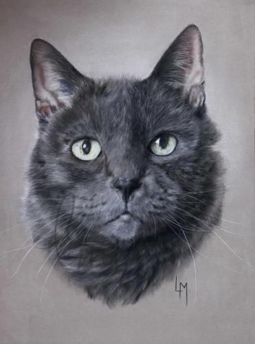 Salem